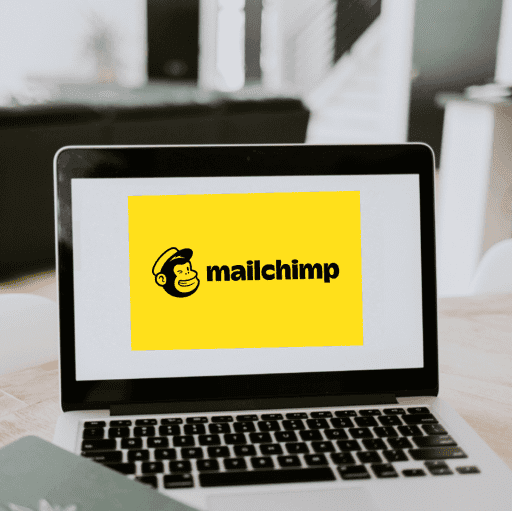 MailChimp training