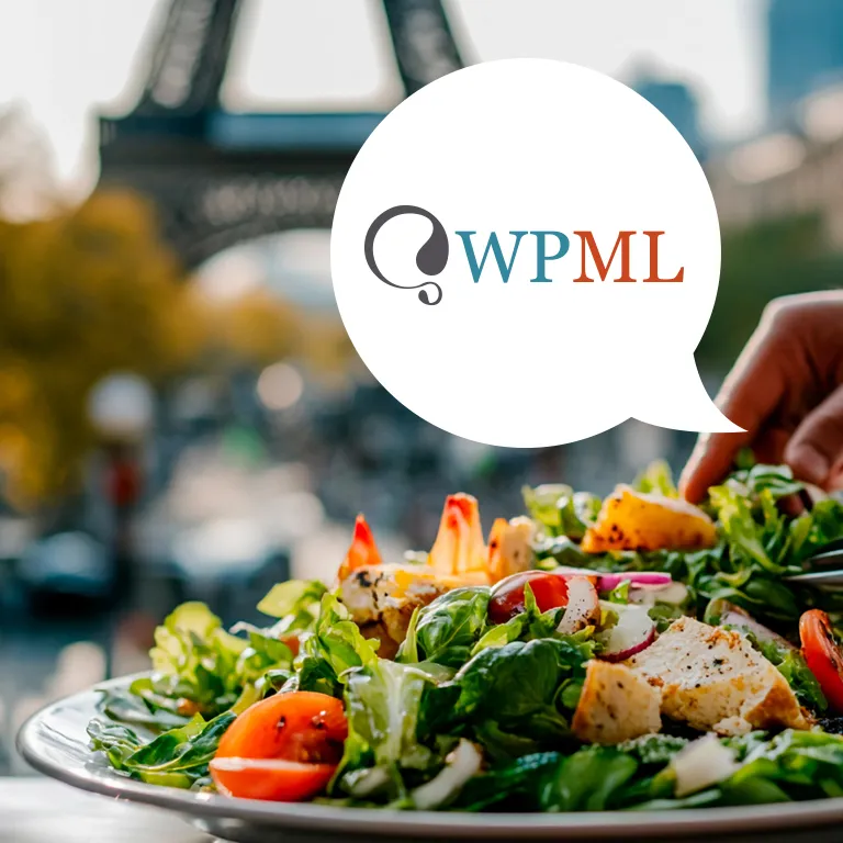 Hoe WPML je website meertalig maakt